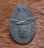 Insigna Regalista Cercetasii Romaniei anii 1920