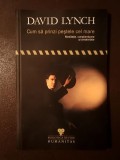 David Lynch - Cum să prinzi peștele cel mare. Meditație, conștientizare și creativitate