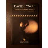 David Lynch - Cum să prinzi peștele cel mare. Meditație, conștientizare și creativitate