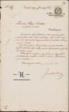 HST 57S Scrisoare oficiala semnata olograf comite Zarand Dimitrie Ionescu 1868