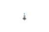 Bec incandescent, Bosch