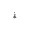 Bec incandescent