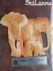 C15 18 - Placheta - militara - Armata din Sri Lanka in Federatia Rusa