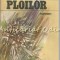 Vamesul Ploilor. Roman - Pan Solcan