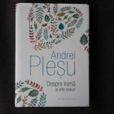 DESPRE INIMA SI ALTE ESEURI DE ANDREI PLESU