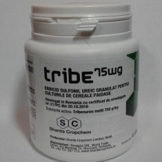 Erbicid TRIBE (tribenuron metil 750 g / Kg ) foto