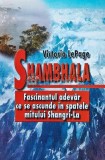 Shambhala. Fascinantul adevar ce se ascunde in spatele mitului Shangri La - 2002 - Victoria Lepage (H158)