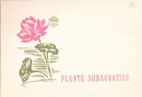 TSV$ - CARNET ANIVERSARE FILATELICA 1966 LP 634 PLANTE SUBACVATICE MNH/**