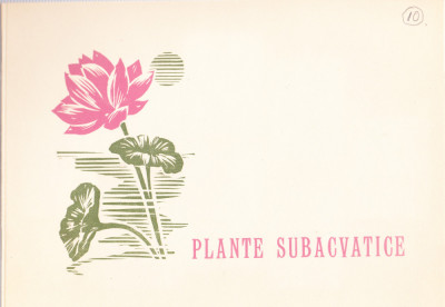 TSV$ - CARNET ANIVERSARE FILATELICA 1966 LP 634 PLANTE SUBACVATICE MNH/** foto