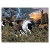Prima pictura pe numere junior mare - Fuga de fulger, Jad