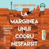 Cumpara ieftin La marginea unui codru nesf&acirc;rșit - Audiobook - Leo Vardiashvili