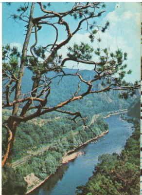 CPIB 16065 CARTE POSTALA - VALEA OLTULUI LA COZIA foto