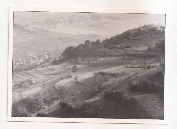 RF102 - Carte Postala - Maramures. circulata