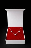 Set cadou pentru dama, Lantisor + Cercei, model scoica, SET24