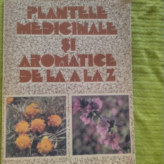 Plantele medicinale si aromatice de la A la Z-Dr.Farm.Ovidiu Bojor,Mircea Alexan