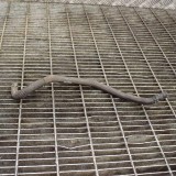 Furtun de lichid de răcire TOYOTA VERSO _R2_ 2013 | 10809902