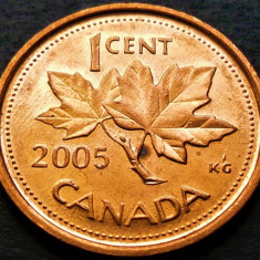 Moneda 1 CENT - CANADA, anul 2005 * cod 456