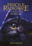 Miez de noapte. Seria Pisicile razboinice. Volumul 7/Erin Hunter, Galaxia Copiilor