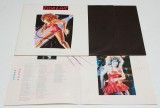Tina Turner &ndash; Tina Live In Europe - disc vinil dublu 2 vinyl 2 LP