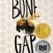 Bone Gap