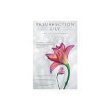 Resurrection Lily: The Brca Gene, Hereditary Cancer &amp; Lifesaving Whispers from the Grandmother I Never Knew: A Memoir