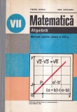 Tiberiu Spircu, Ioan Craciunel - Matematica. Algebra. Manual pentru clasa a