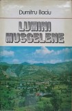 LUMINI MUSCELENE-DUMITRU BACIU-216760