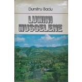 LUMINI MUSCELENE-DUMITRU BACIU-216760