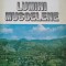 LUMINI MUSCELENE-DUMITRU BACIU-216760