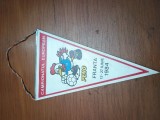 Fanion Campionatul European de fotbal Franta 1984