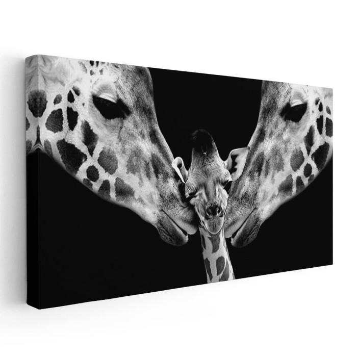 Tablou cuplu girafe cu pui 1776 Tablou canvas pe panza CU RAMA 70x140 cm