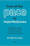 Cum sa faci pace cu imperfectiunea - Elliot D. Cohen