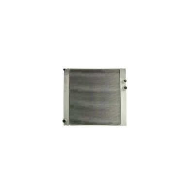 Radiator apa LAND ROVER RANGE ROVER III LM AVA Quality Cooling U2207 foto