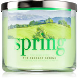 Cumpara ieftin Bath &amp; Body Works The Perfect Spring lum&acirc;nare parfumată 411 g