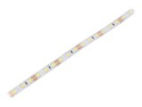 Bandă LED alb rece 12V IP20 15W/m