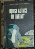 D. Andreescu - Brese adanci in infinit
