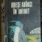 D. Andreescu - Brese adanci in infinit