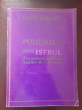Casin Popescu - Podurile peste Istrul din primul mileniu inainte de Christos