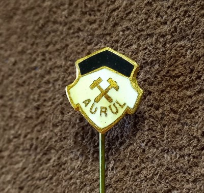 Insigna fotbal - &amp;quot;AURUL&amp;quot; BRAD (varianta 1) foto