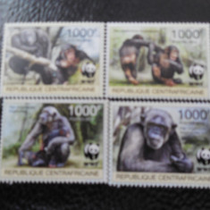 Rep Centrafricana-Fauna wwf,maimute-serie completa,nestampilate MNH