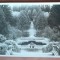 Carte postala Avrig, Parcul sanatoriului Brukenthal, perioada interbelica