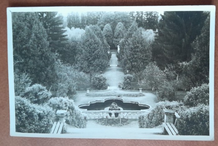 Carte postala Avrig, Parcul sanatoriului Brukenthal, perioada interbelica
