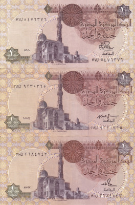 EGIPT lot 3 buc. X 1 pound - semnaturi diferite XF/XF+!!! foto