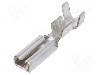 Terminal tip plat, pentru surub {{Orificiu pentru &amp;#351;urub}}, IMP - 1670.08.01.3