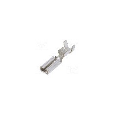 Terminal tip plat, pentru surub {{Orificiu pentru &amp;#351;urub}}, IMP - 1670.08.01.3