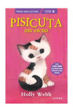 Pisicuța din vecini - Paperback brosat - Holly Webb - Litera