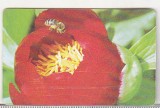 Bnk card Cartela telefonica 2003 - Flori 8 - RO-ROM-0185A