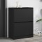 Gossi dulap de pantofi cu 2 sertare rabatabile, negru, 80x42x108 cm