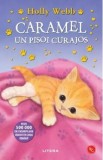 Caramel, un pisoi curajos. Povesti cu animale - Holly Webb