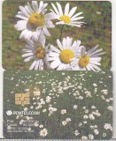 Bnk card Cartela telefonica 2003 - Flori 9 - RO-ROM-0188A